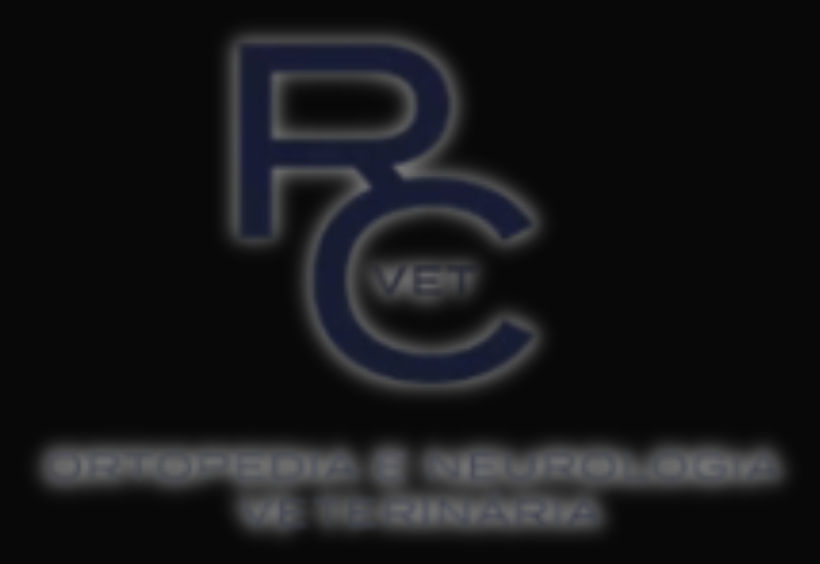 Logo do Cliente 11