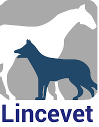 LinceVet