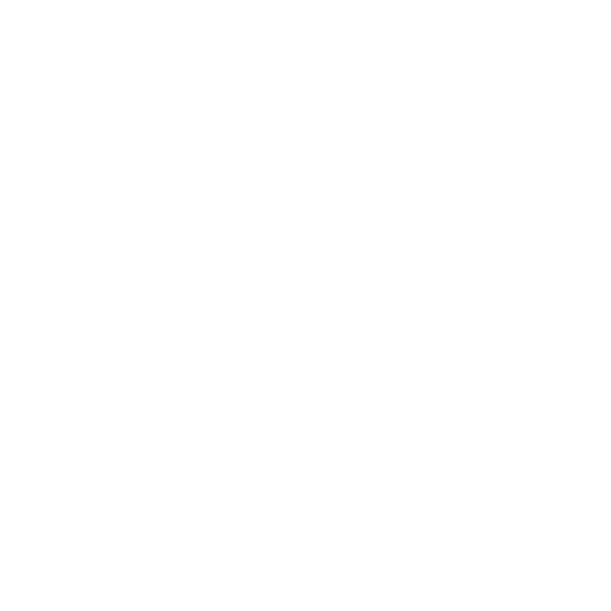 BMT Orion One Logo